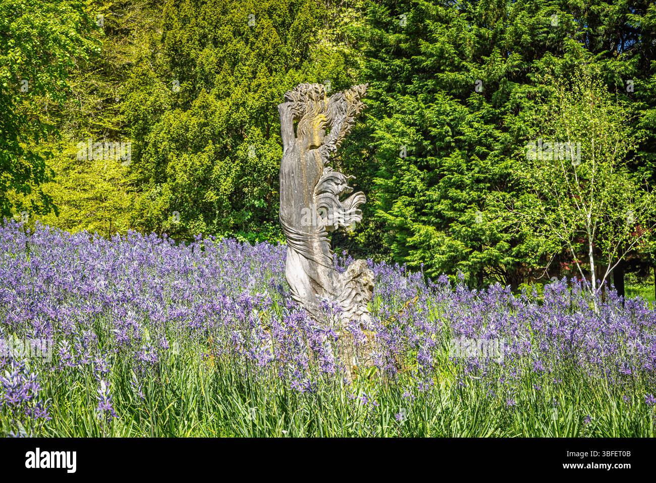 Marmorstatue von Daphne in Camassia im Batsford Arboretum, einem Garten in der Nähe von Batsford in den Cotswolds in Gloucestershire, England, Großbritannien, im Frühjahr Stockfoto