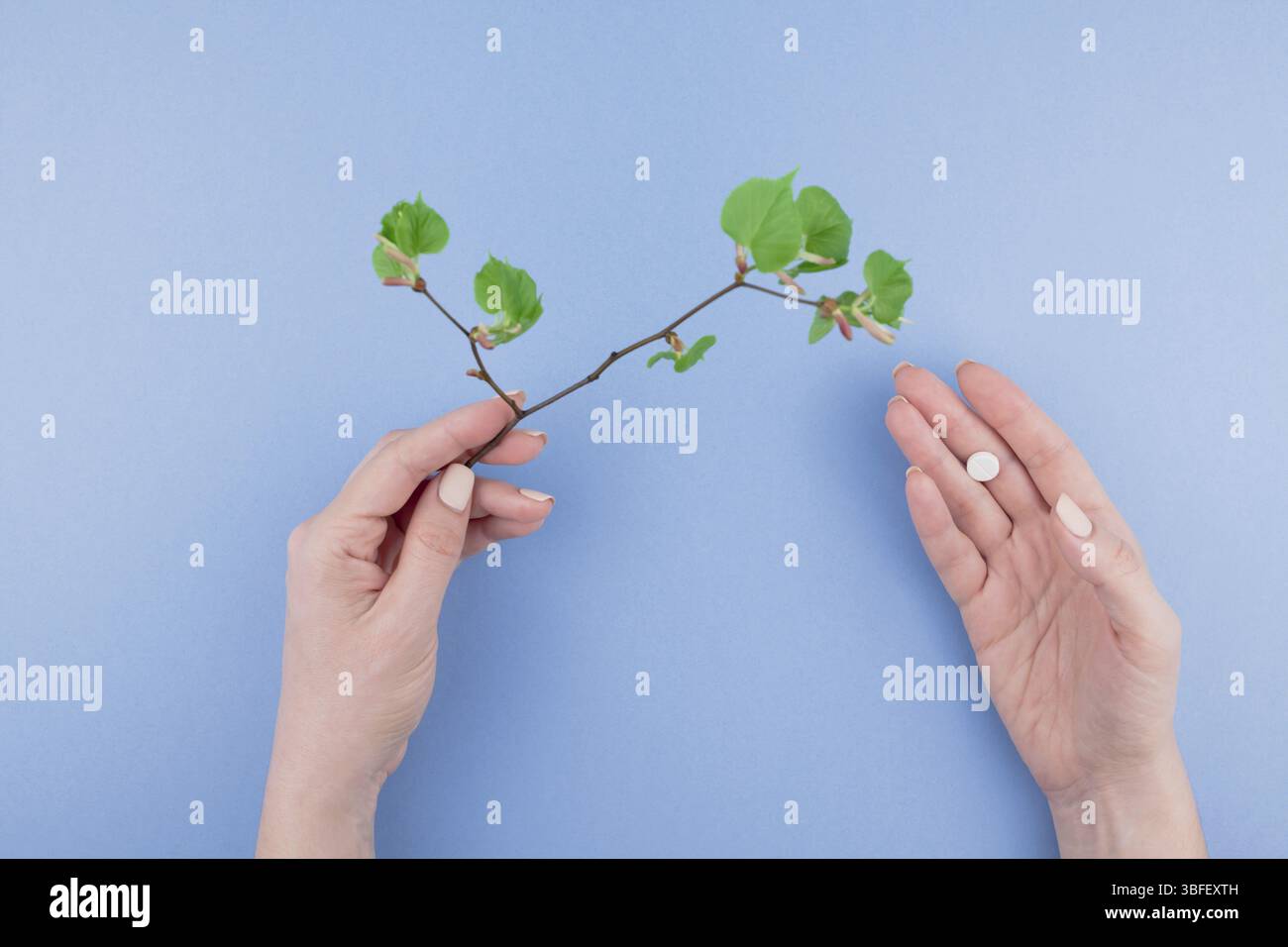 Kreative flach Konzept der saisonale Frühling Pollenallergie mit einer Pille in weiblicher Hand und frische grüne Sprossen mit Knospen mit Kopie Raum Hintergrund Stockfoto