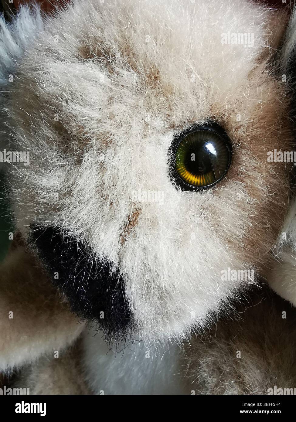 Die detaillierte Ansicht eines Plüschspielzeugs offenbart seine weiche, flauschige Textur und seine funkelnden Augen. - Smartphone-aufgenommenes Stockfoto