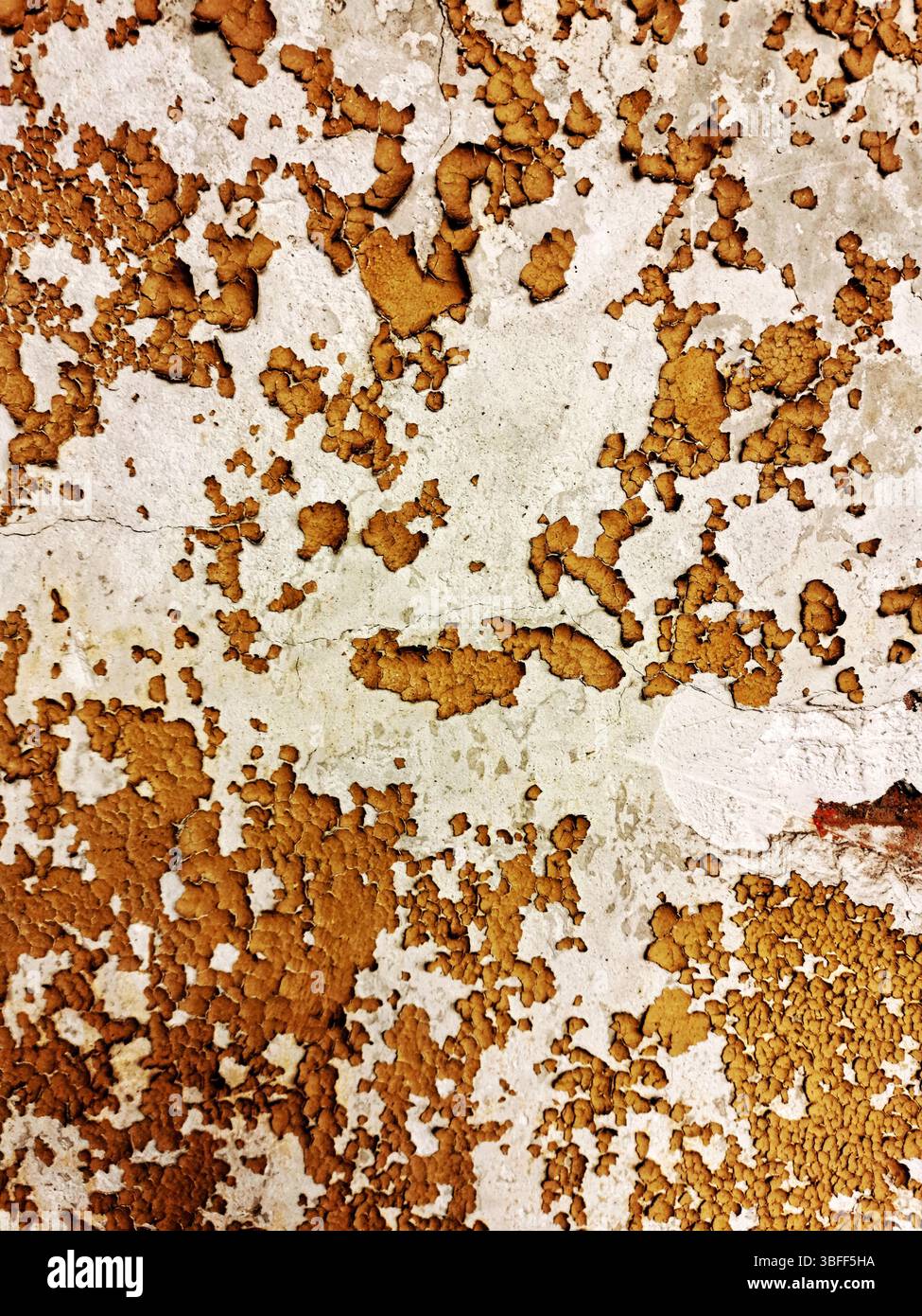 Die Oberfläche zeigt ein kompliziertes Muster von abblätternder Farbe in warmen Erdtönen, das Anzeichen von Alterung und Witterung zeigt, die typisch für die städtische Umgebung sind - Smartphone-aufgenommenes Stockfoto