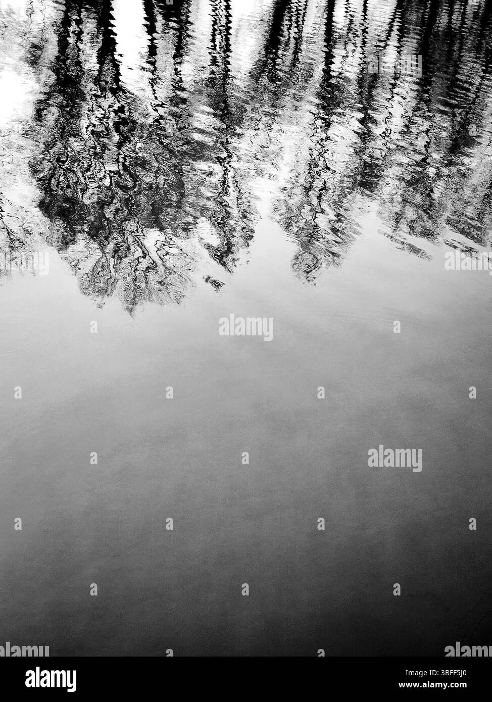 Die Oberfläche eines ruhigen Gewässers spiegelt die komplizierten Muster der Bäume am Ufer wider und schafft eine friedliche Atmosphäre am späten Nachmittag. Stockfoto