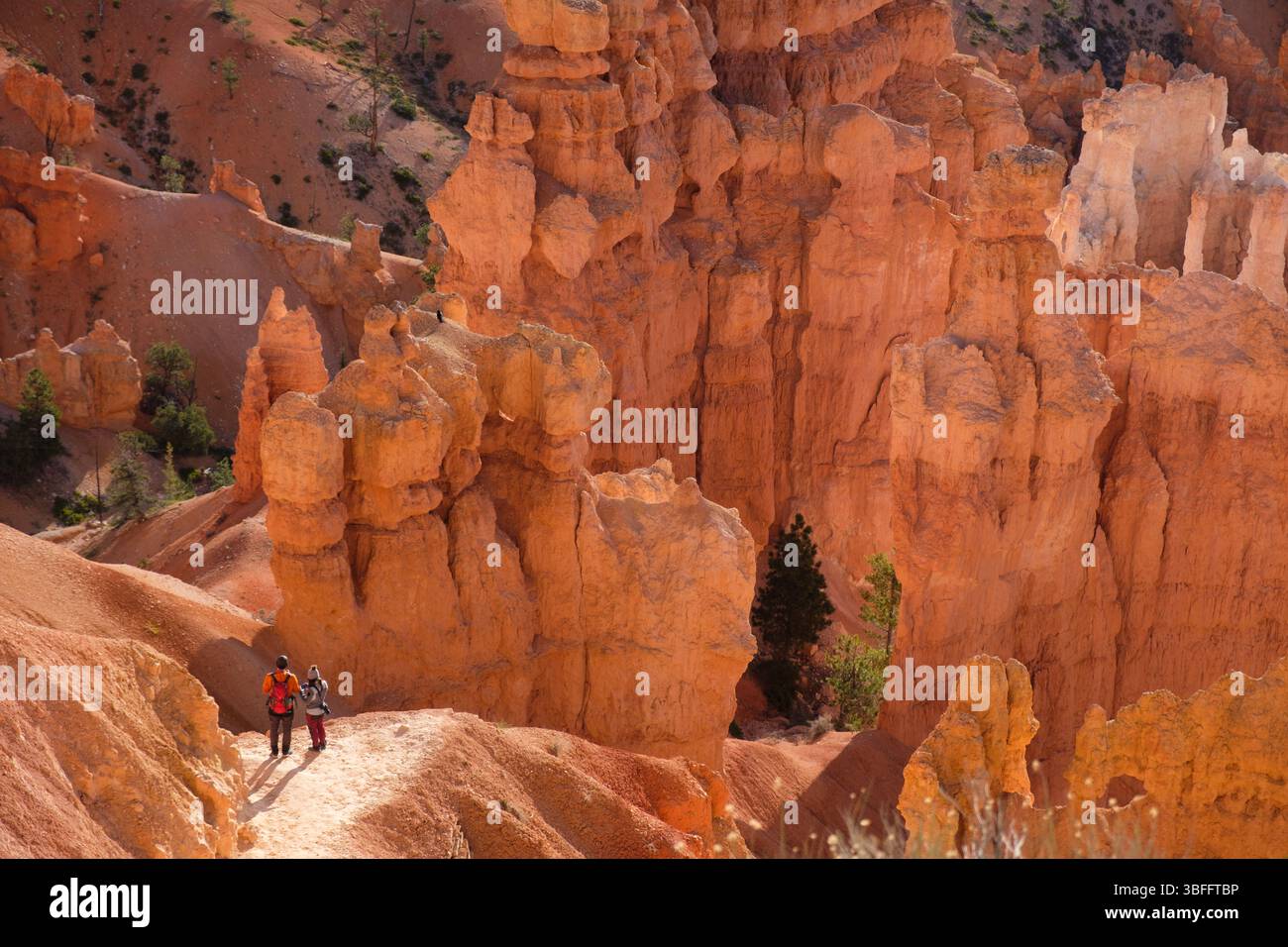 Wanderer im Bryce Canyon National Park in Utah, USA. Stockfoto