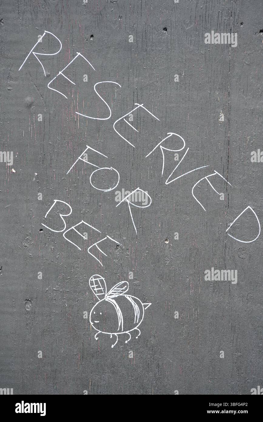 Kreidezeichnung mit der Überschrift „Reserved for Bee“ auf strukturierter Holzoberfläche. Portsmouth, Großbritannien Stockfoto