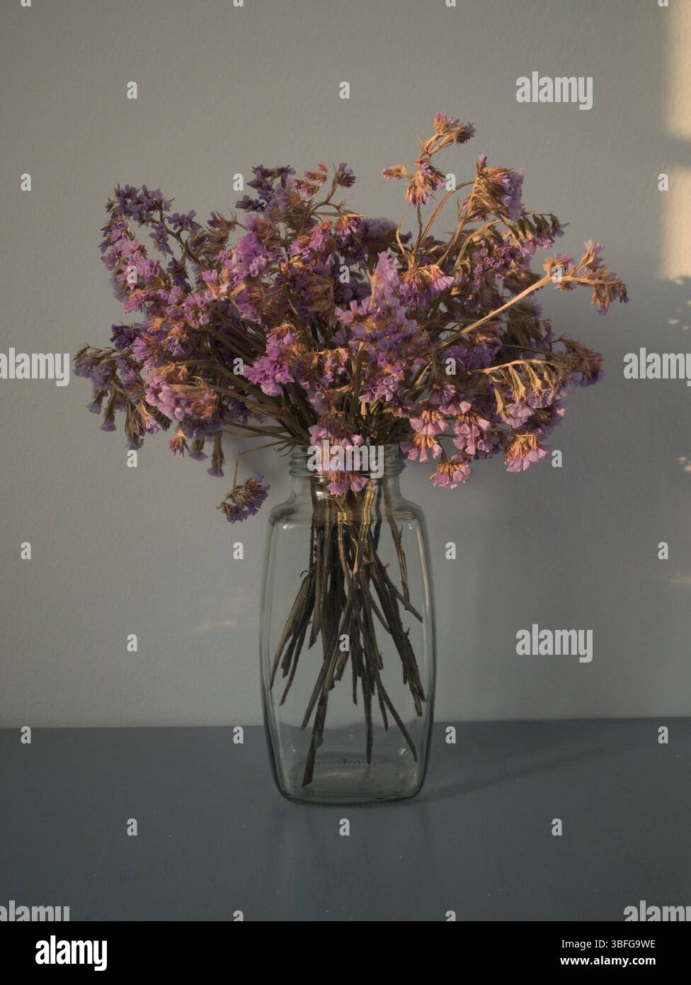 Ein Nahaufnahme-Stillleben mit Lavendelblüten, auch bekannt als Limonium vulgare oder statice, in einer klaren Glasvase in minimalistischer Umgebung angeordnet. Stockfoto
