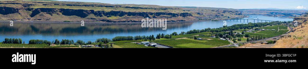 Panoramablick auf die Columbia River Gorge. Stockfoto