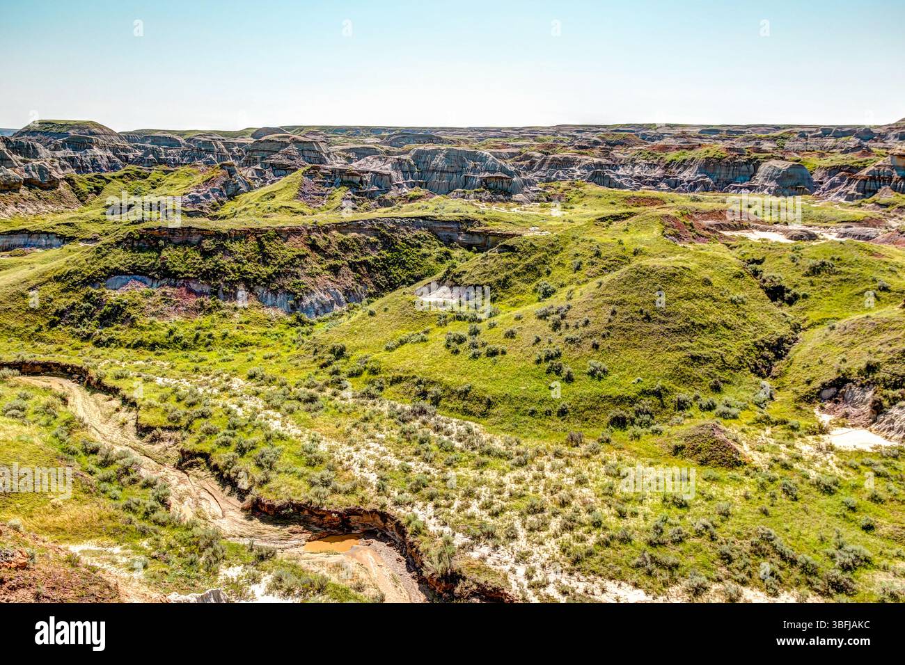 Landschaften und Gelände des Dinosaur Provincial Park in Alberta, Kanada Stockfoto
