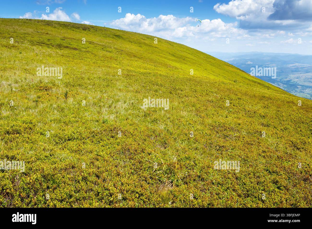 Grüne Hänge des Borzhava-Berges im Sommer. Malerische Landschaft der karpaten an einem sonnigen Tag Stockfoto