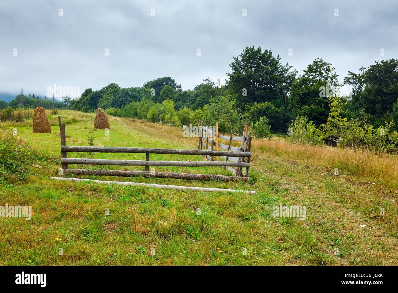 Ländliches Feld hinter dem Holzzaun. Landschaft in Bergen an einem regnerischen Tag. Organischer Heuhaufen auf der Wiese Stockfoto