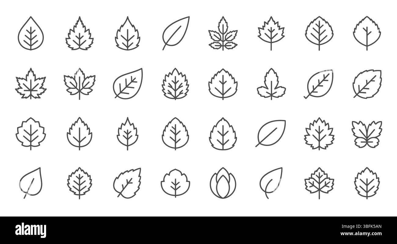 Blatt-Symbolsatz – Natur, Umwelt, Ökologie und organische Symbole Stock Vektor