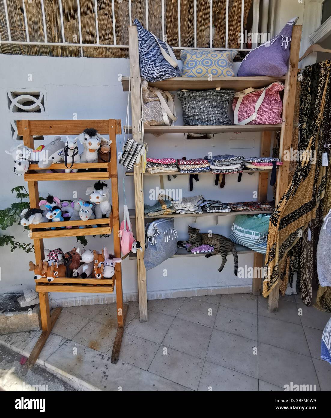 Die Straßenkatze im Dorf Spartochori auf der Insel Meganisi, Griechenland, findet einen sehr bequemen Ort für einen Nachmittag im Regal eines Souvenirshops. - Smartphone-aufgenommenes Stockfoto