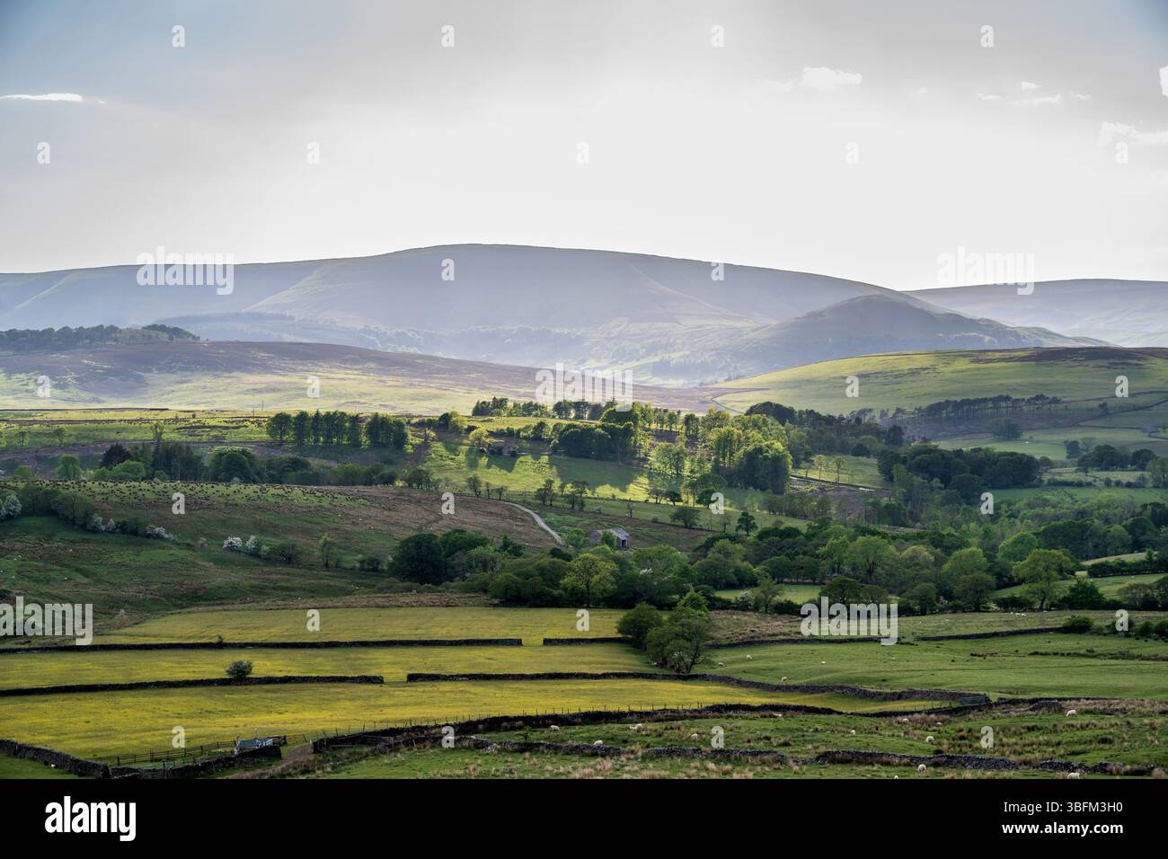 Abendsonne ländliche Landschaft von Lancashire Großbritannien des ...