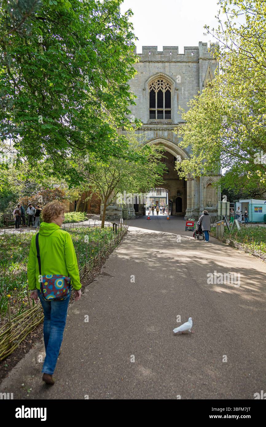 Abbey Gate, Bury St Edmunds, West Suffolk, England, Großbritannien Stockfoto