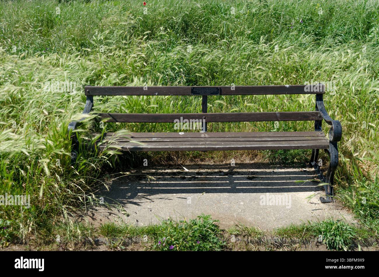 Eine verwitterte Parkbank aus Holz und Eisen befindet sich in einer lange bewachsenen Ecke eines Parks in Essex UK Stockfoto