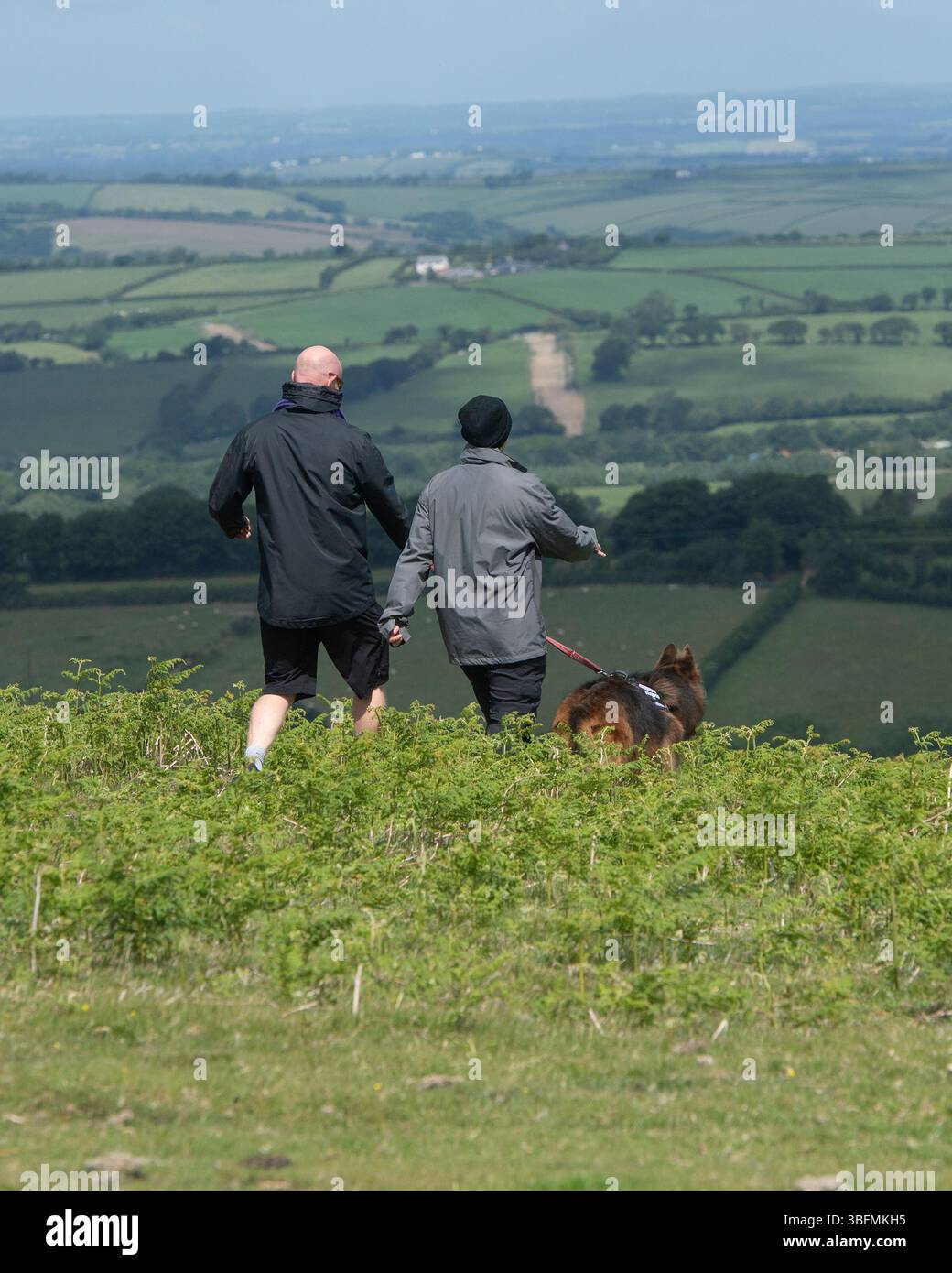 Ein Paar geht mit einem Hund auf Dartmoor Stockfoto