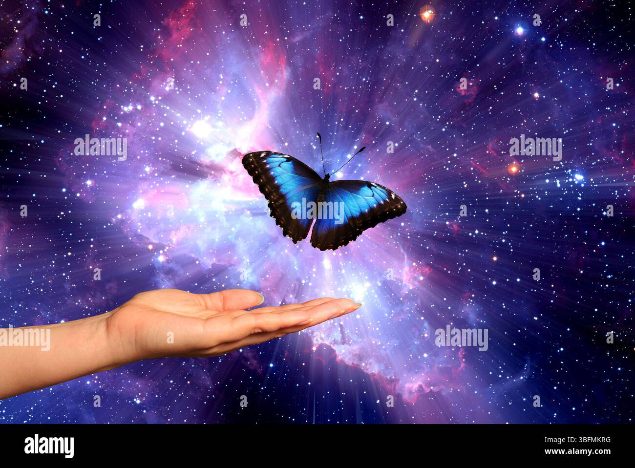 Frauenhand und blauer Schmetterling Stockfoto