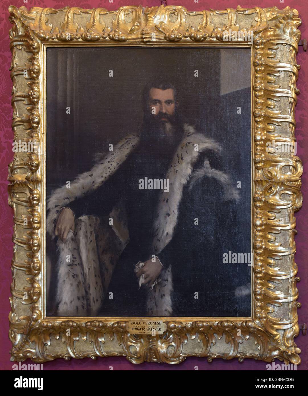 Paolo Veronese, Porträt des Adligen in dunklem Gewand mit Hermelinfell, Vollbart, Ende 16. Jahrhundert, Palazzo Pitti, Florenz, Italien. Stockfoto