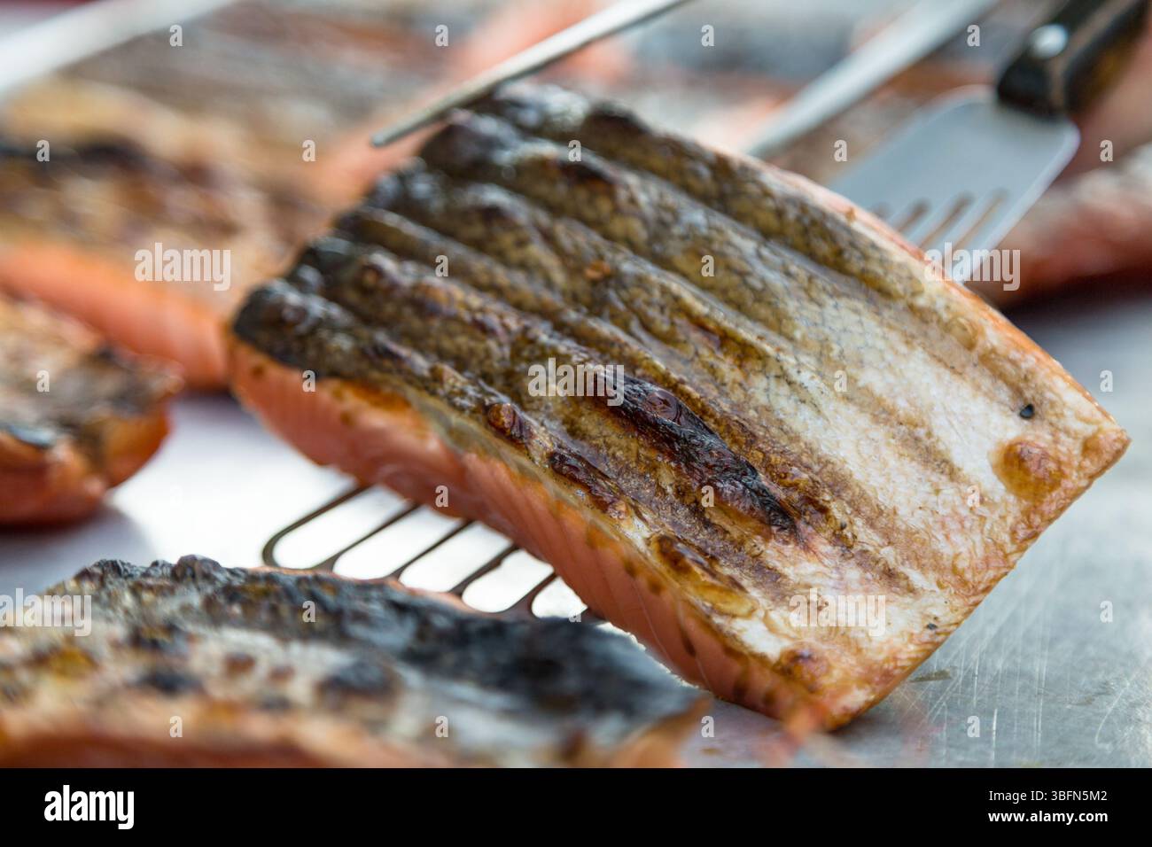 Ein Koch serviert gegrillten Lachs mit einer Zange. Der Fisch ist gekocht und verzehrfertig. Stockfoto