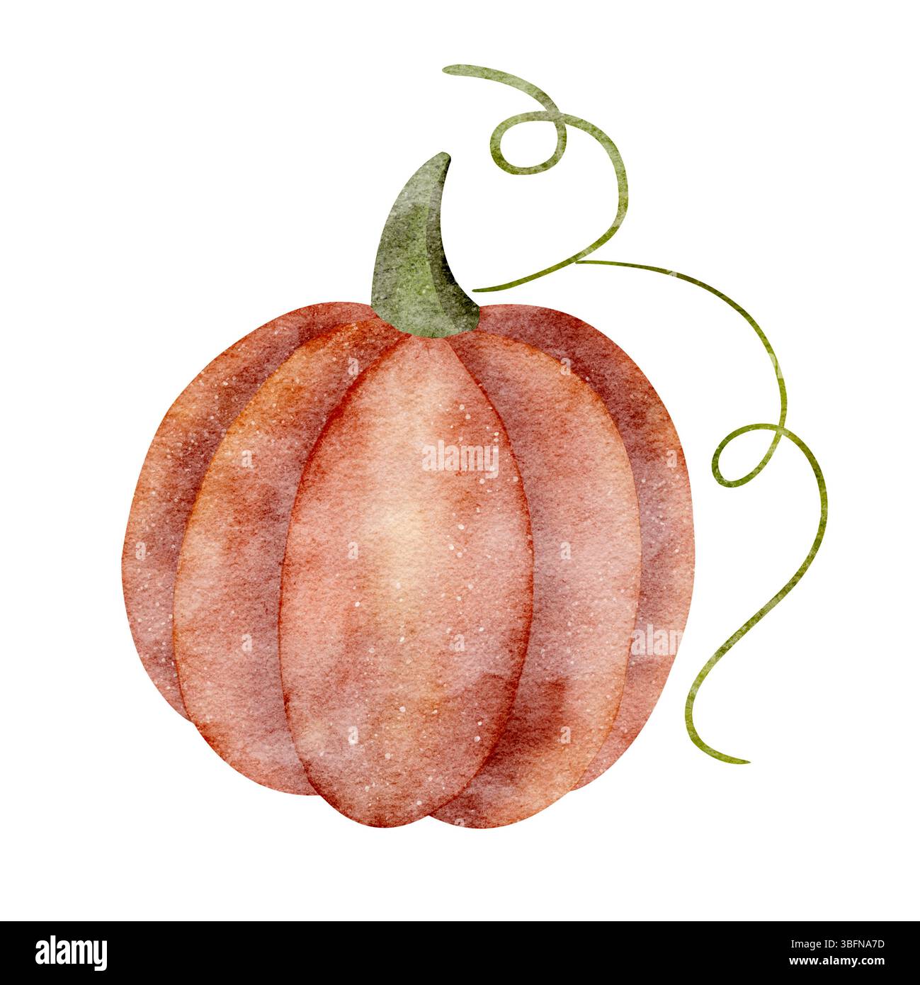 Kürbisorange, Herbsternte. Aquarellabbildung rotes Gemüse handgezeichnet auf isoliertem Hintergrund im Vintage-Stil für Karten, Poster, Feiertage Stockfoto