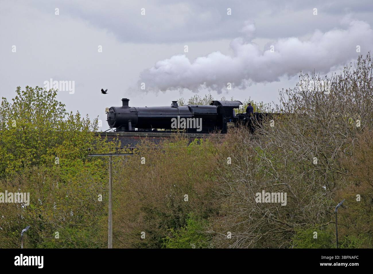 Dampflok, GWSR Steam Railway, Stanway, Broadway, die Cotswolds, England, Großbritannien Stockfoto
