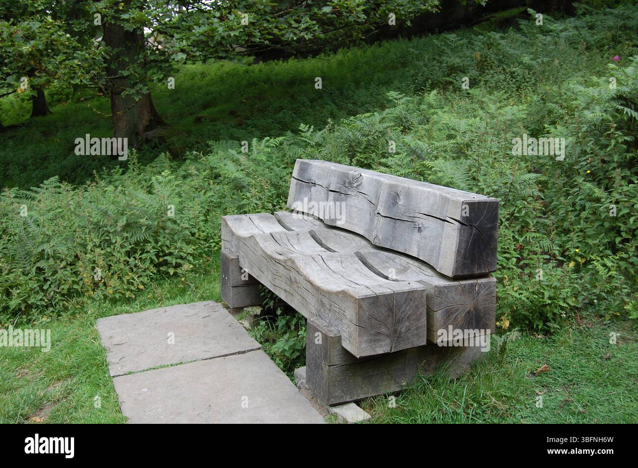 Handgeschnitzte dreisitzige Eichenbank, Longshaw Estate, Peak District National Park, Großbritannien Stockfoto