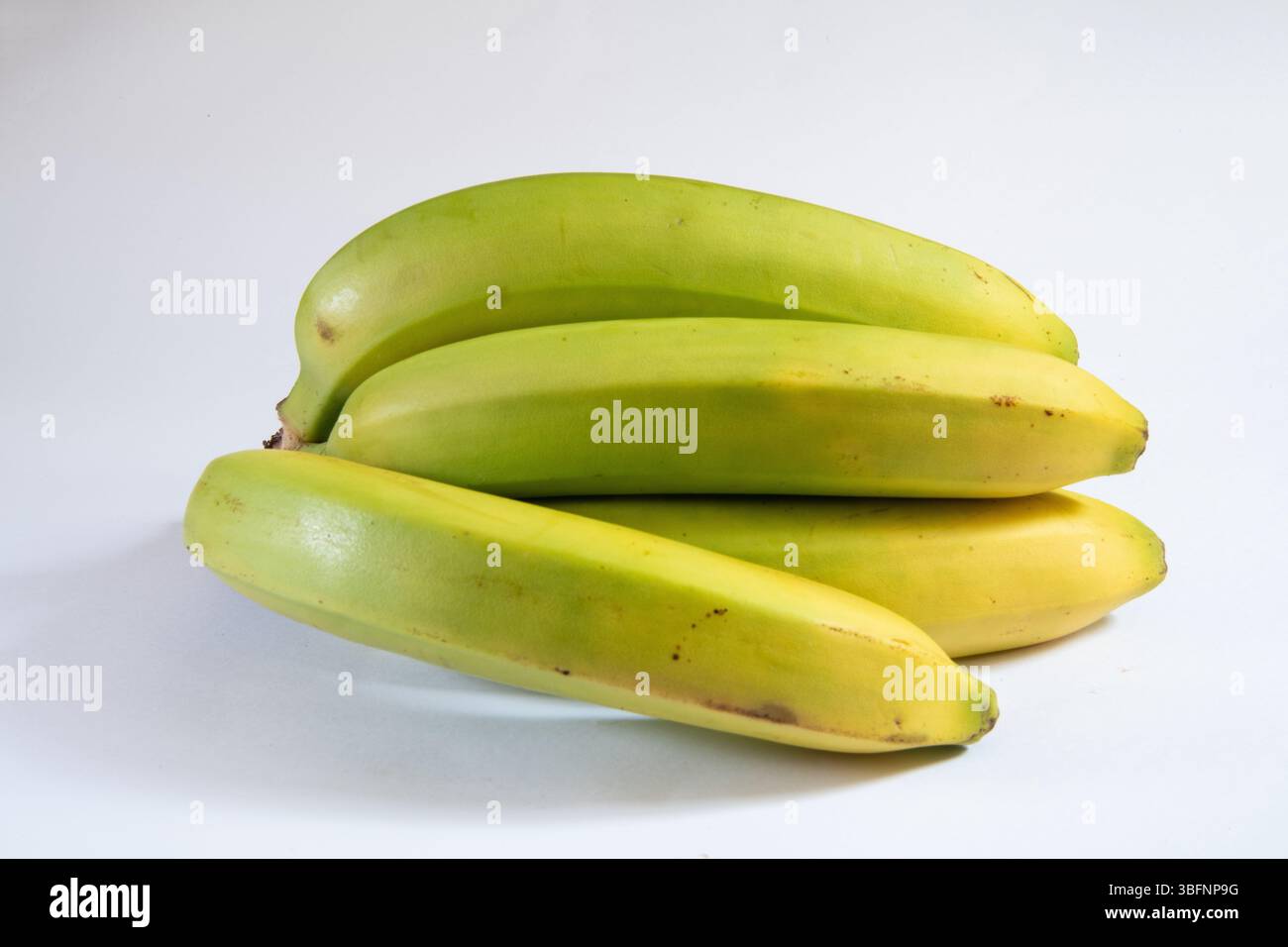 Bananen isoliert auf einem sauberen weißen Hintergrund. Stockfoto