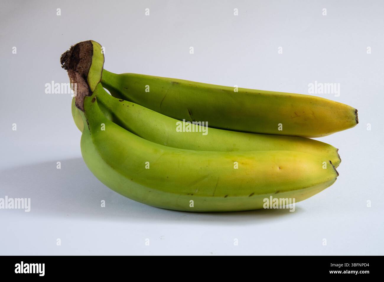 Bananen isoliert auf einem sauberen weißen Hintergrund. Stockfoto
