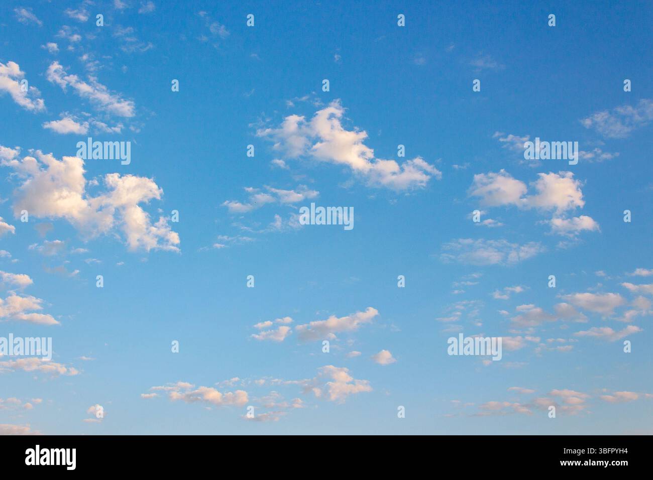 Blauer Himmel mit Wolken an einem sonnigen augustmorgen. Flauschige Formationen bei hellem Wetter. Blaue Naturkulisse im Morgenlicht. Hintergrund der warmen Prognose d Stockfoto