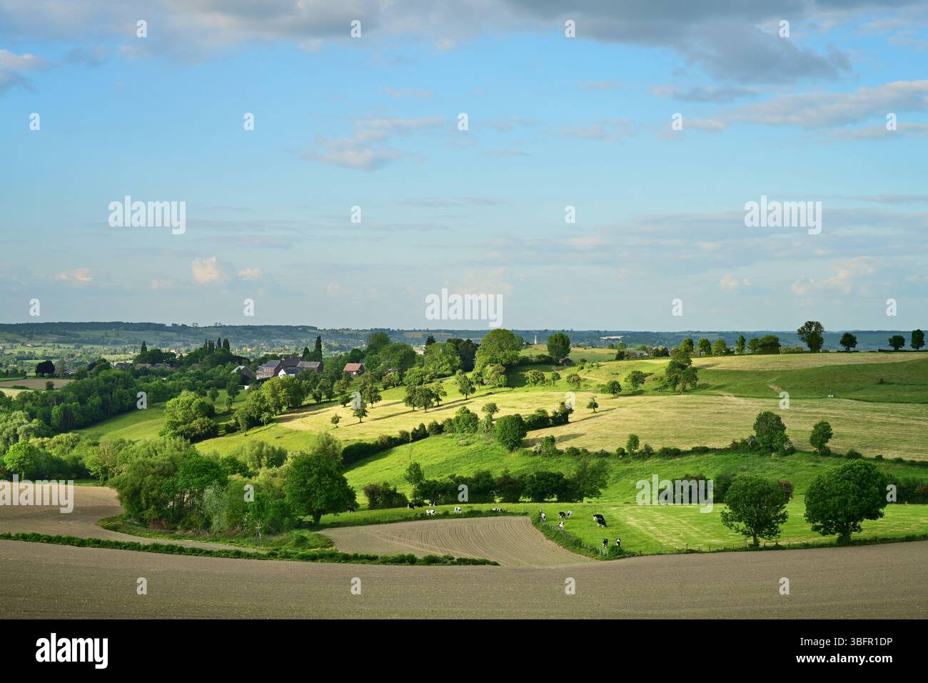 Belgische Landschaft Stockfoto