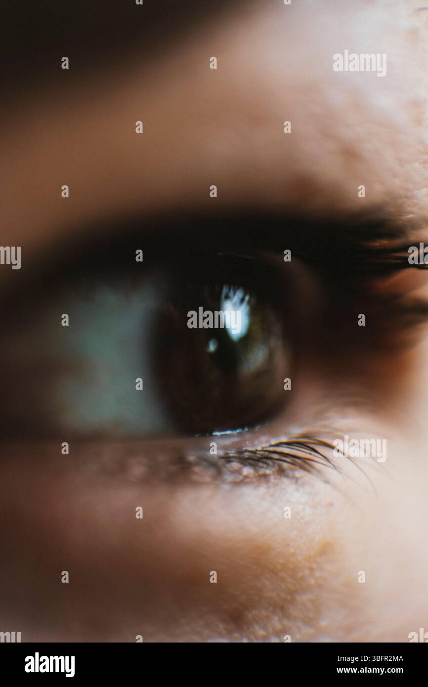Detaillierte Nahaufnahme des Auges eines Kindes, das die komplizierten Details der Iris und der Wimpern einfängt. Im Auge ist eine deutliche Reflexion zu sehen Stockfoto
