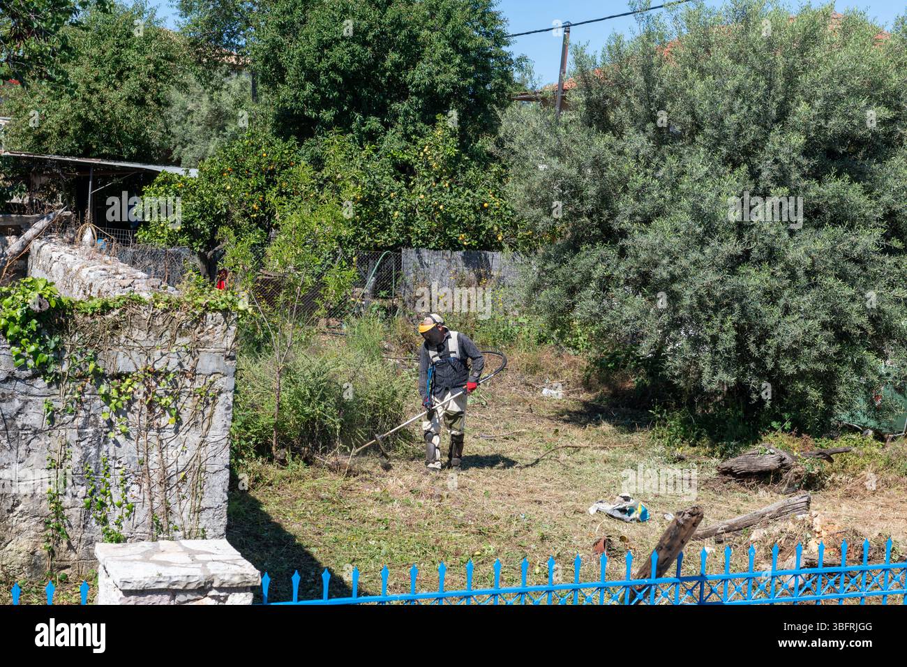 Eine Person, die einen elektrischen Trimmer verwendet, um ein verwachsenes Feld zu entfernen. Stockfoto