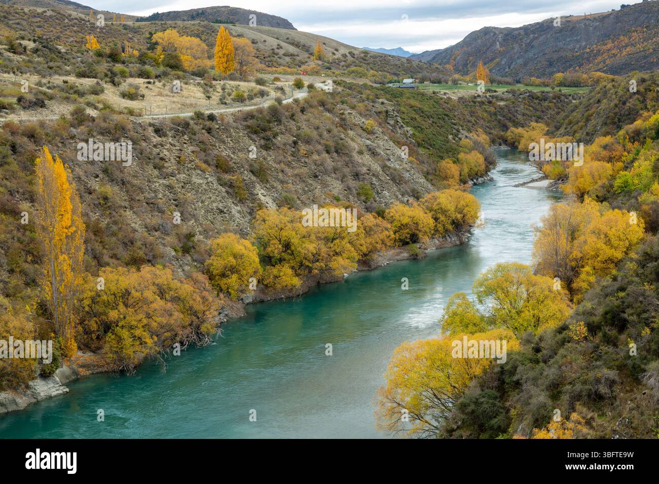 Spaziergang auf dem Peregrine Loop Track an einem Herbsttag, Gibbston Valley, Queenstown, Neuseeland Stockfoto