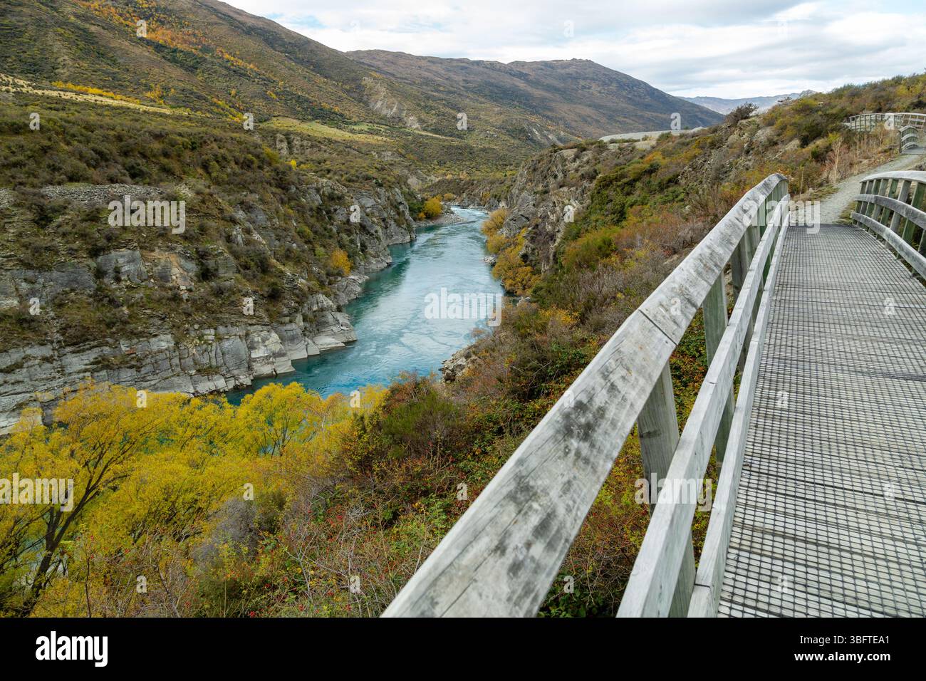 Spaziergang auf dem Peregrine Loop Track an einem Herbsttag, Gibbston Valley, Queenstown, Neuseeland Stockfoto