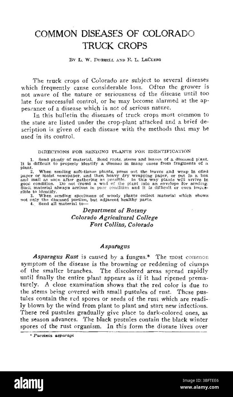 In diesem Dokument aus dem Jahr 1927 werden allgemeine Krankheiten beschrieben, die LKW-Kulturen in Colorado betreffen, und es werden landwirtschaftliche Einblicke in die Pflanzengesundheit und die Herausforderungen gegeben, denen lokale Landwirte bei der Erhaltung gesunder Kulturen gegenüberstehen. Stockfoto