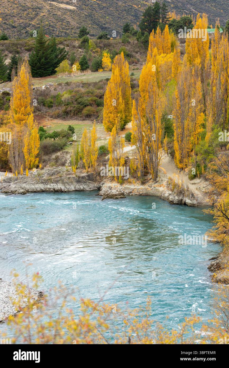 Spaziergang auf dem Peregrine Loop Track an einem Herbsttag, Gibbston Valley, Queenstown, Neuseeland Stockfoto