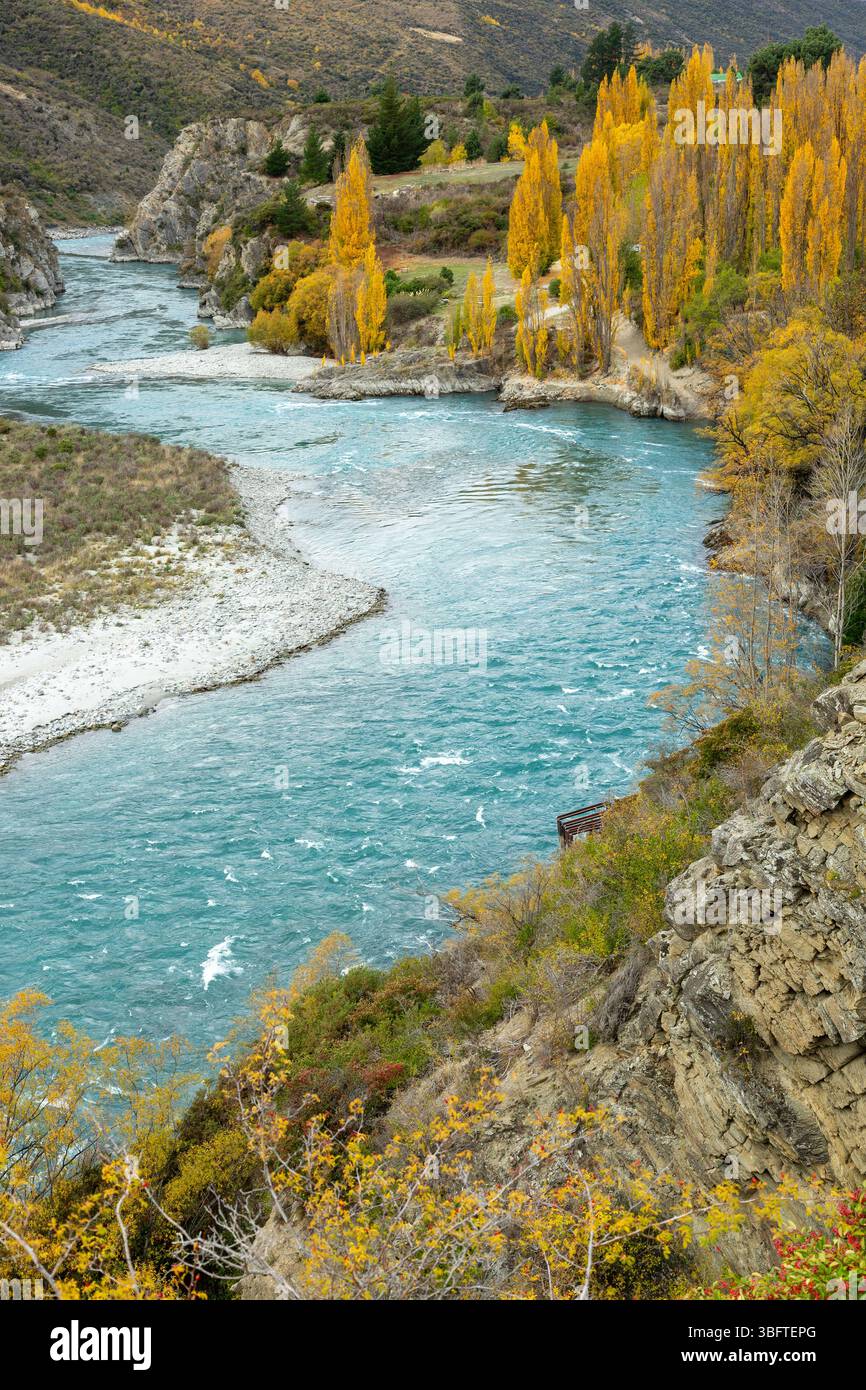 Spaziergang auf dem Peregrine Loop Track an einem Herbsttag, Gibbston Valley, Queenstown, Neuseeland Stockfoto