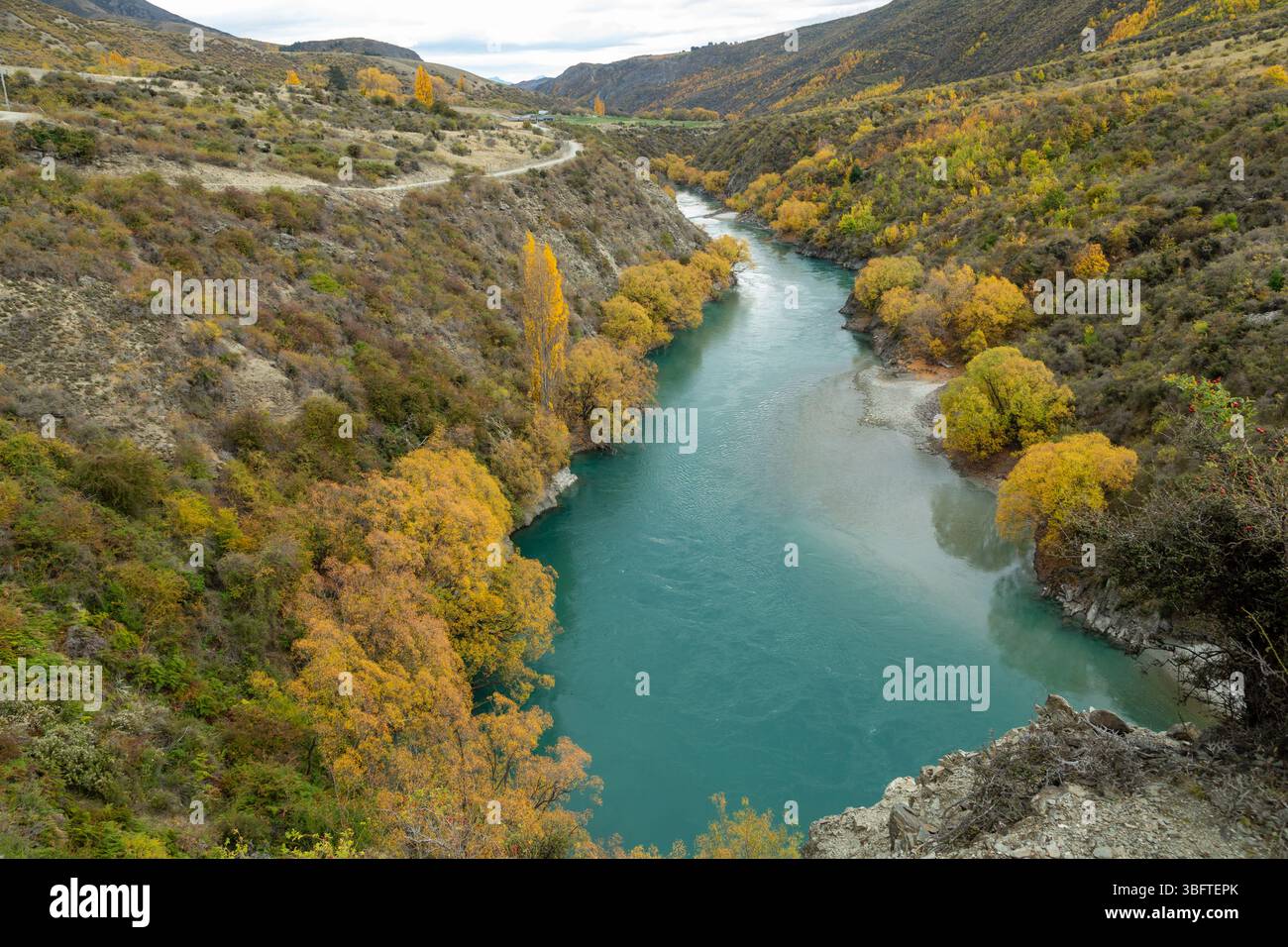Spaziergang auf dem Peregrine Loop Track an einem Herbsttag, Gibbston Valley, Queenstown, Neuseeland Stockfoto