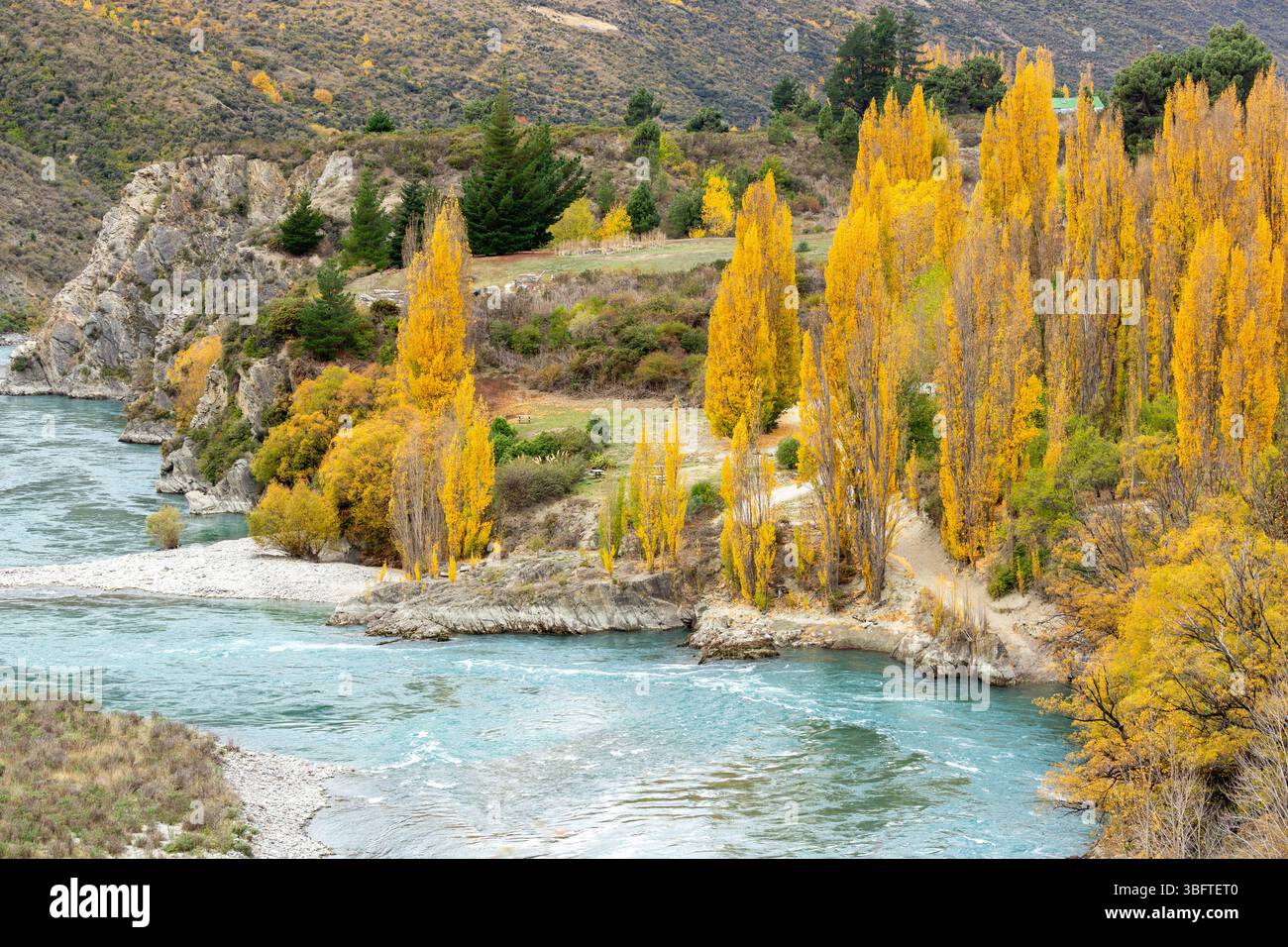 Spaziergang auf dem Peregrine Loop Track an einem Herbsttag, Gibbston Valley, Queenstown, Neuseeland Stockfoto