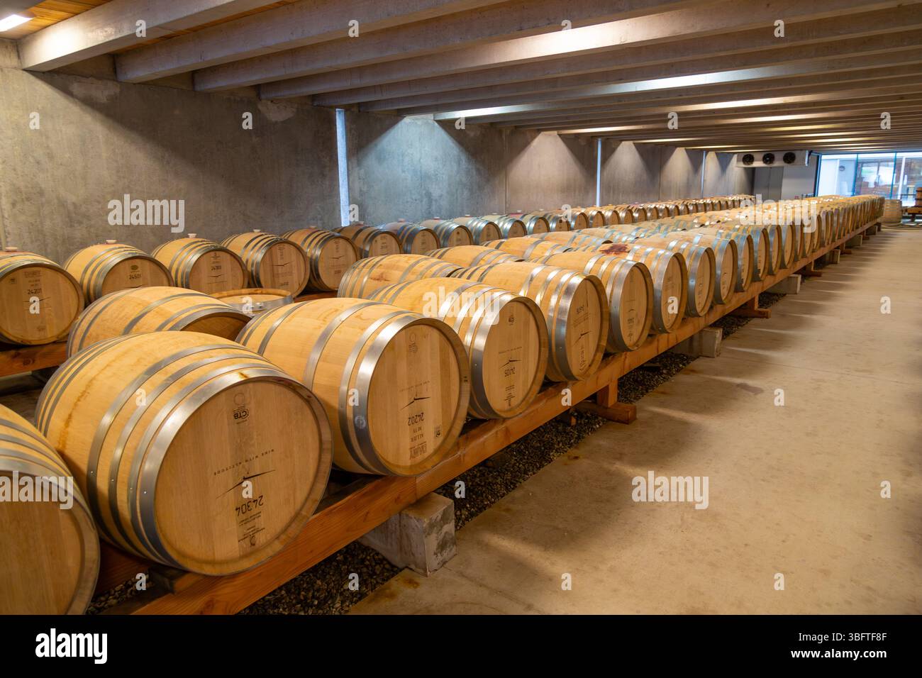 Weinfässer vor der Kellertür bei Peregrine Wines, Gibbston Valley, Otago, Neuseeland Stockfoto