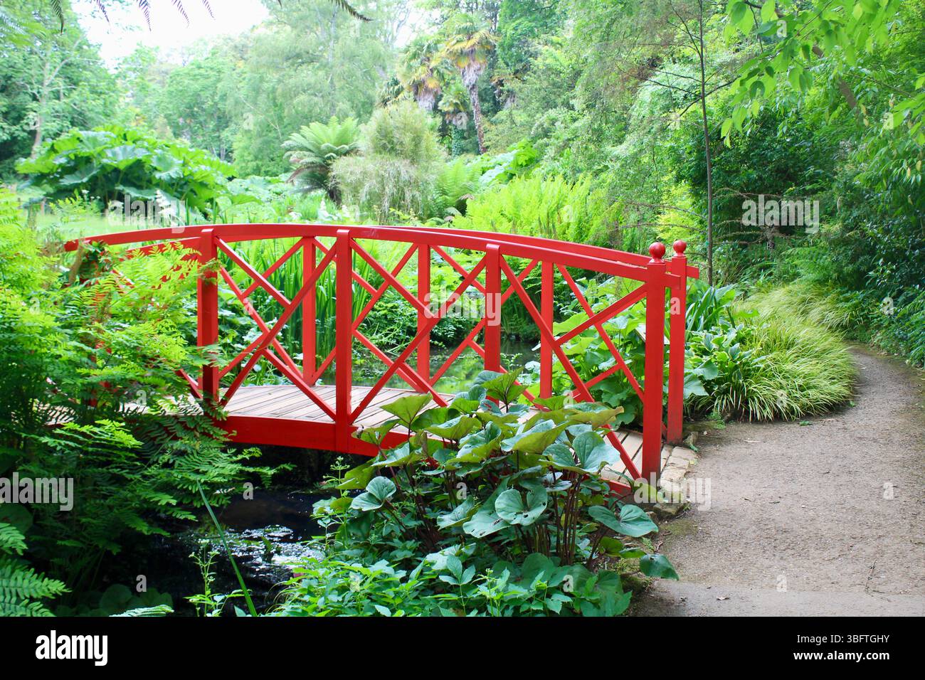 Abbotsbury Subtropische Gärten - Rote Brücke Stockfoto