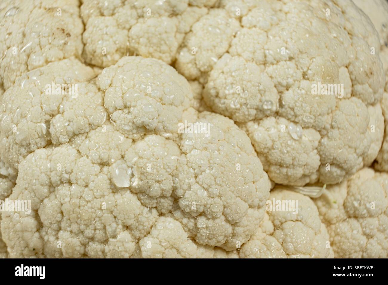 Makrotextur der Blumenkohloberfläche mit Wassertröpfchen Stockfoto
