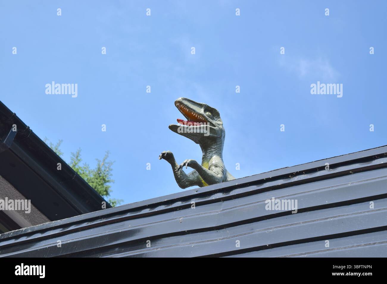 Dinosaurier-Statue auf Dach oder blauem Himmel Hintergrund in Swansea UK. Stockfoto