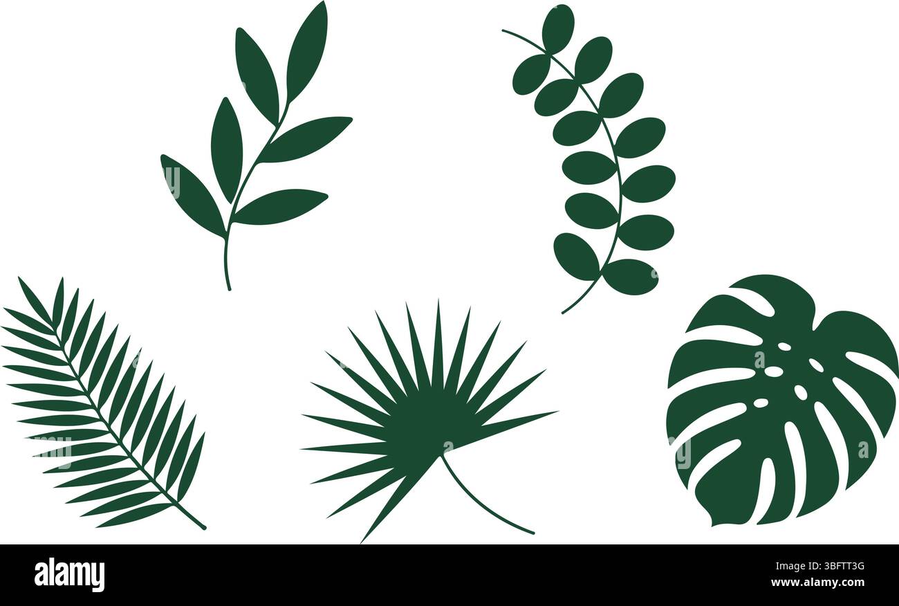 Tropisches Botanisches Blatt Silhouetten Vektor-Set Stock Vektor