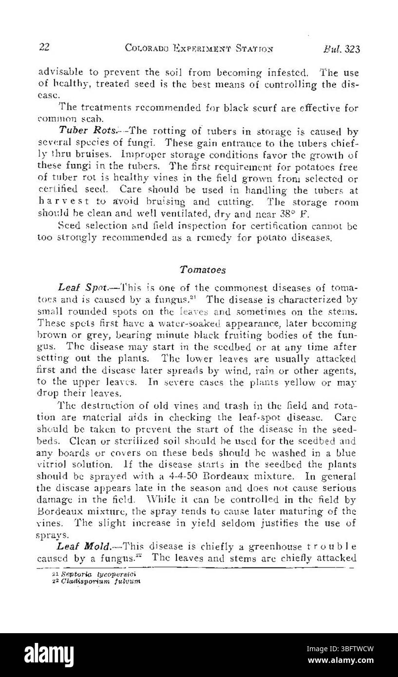 In diesem Abschnitt der Publikation von 1927 werden allgemeine Krankheiten in Colorados LKW-Kulturen behandelt, deren Auswirkungen auf die Ernteerträge detailliert beschrieben und Leitlinien für wirksame Behandlungen und Präventionsstrategien für Landwirte bereitgestellt. Stockfoto