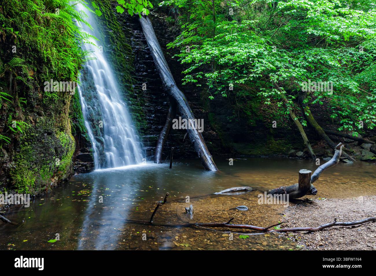 Falling Foss Wasserfall in North Yorkshire, England. Stockfoto