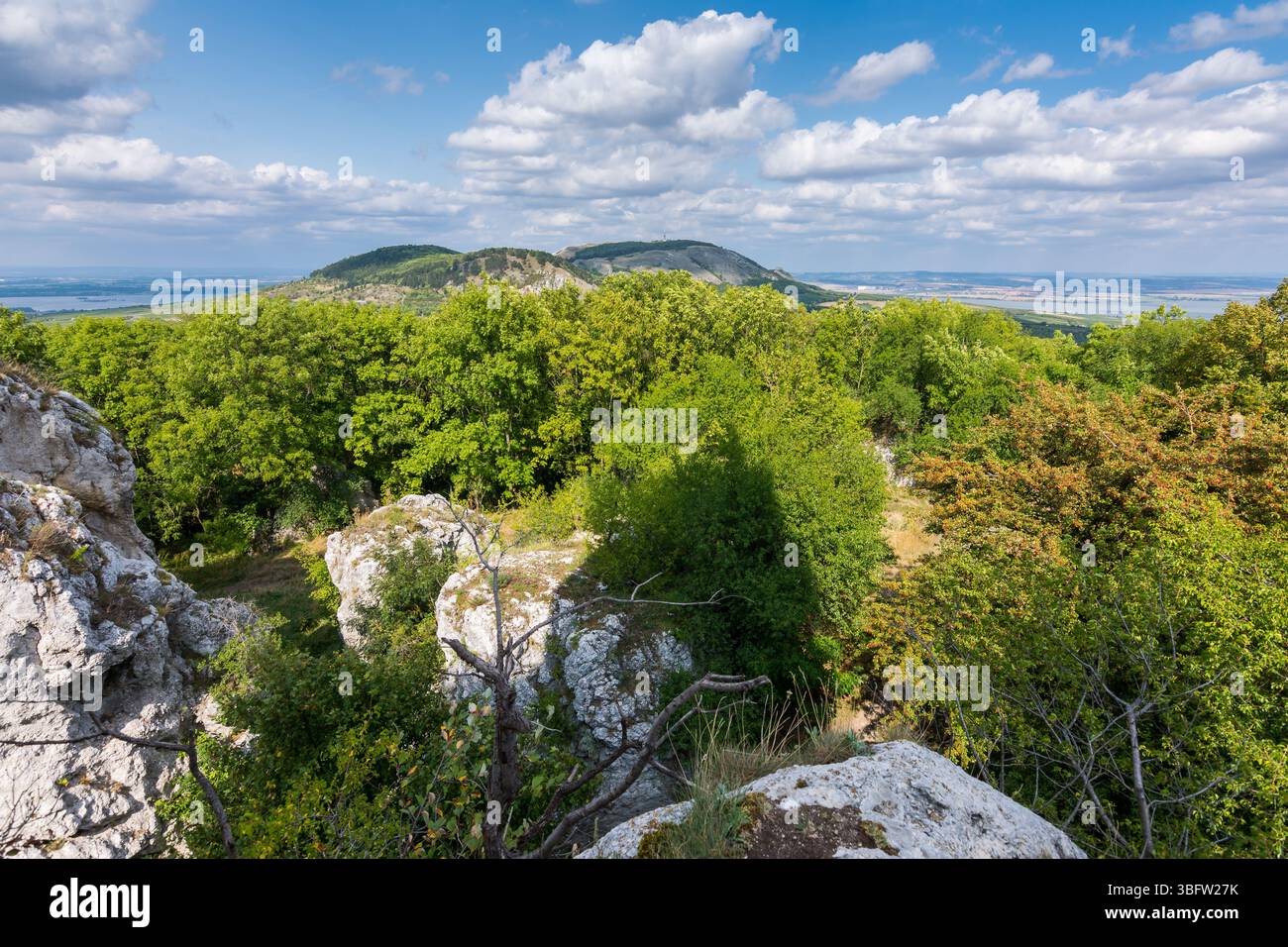 Großer weißer Felsen auf dem Hügel, Palava Tschechien, Waldhügel und der blaue Himmel Stockfoto