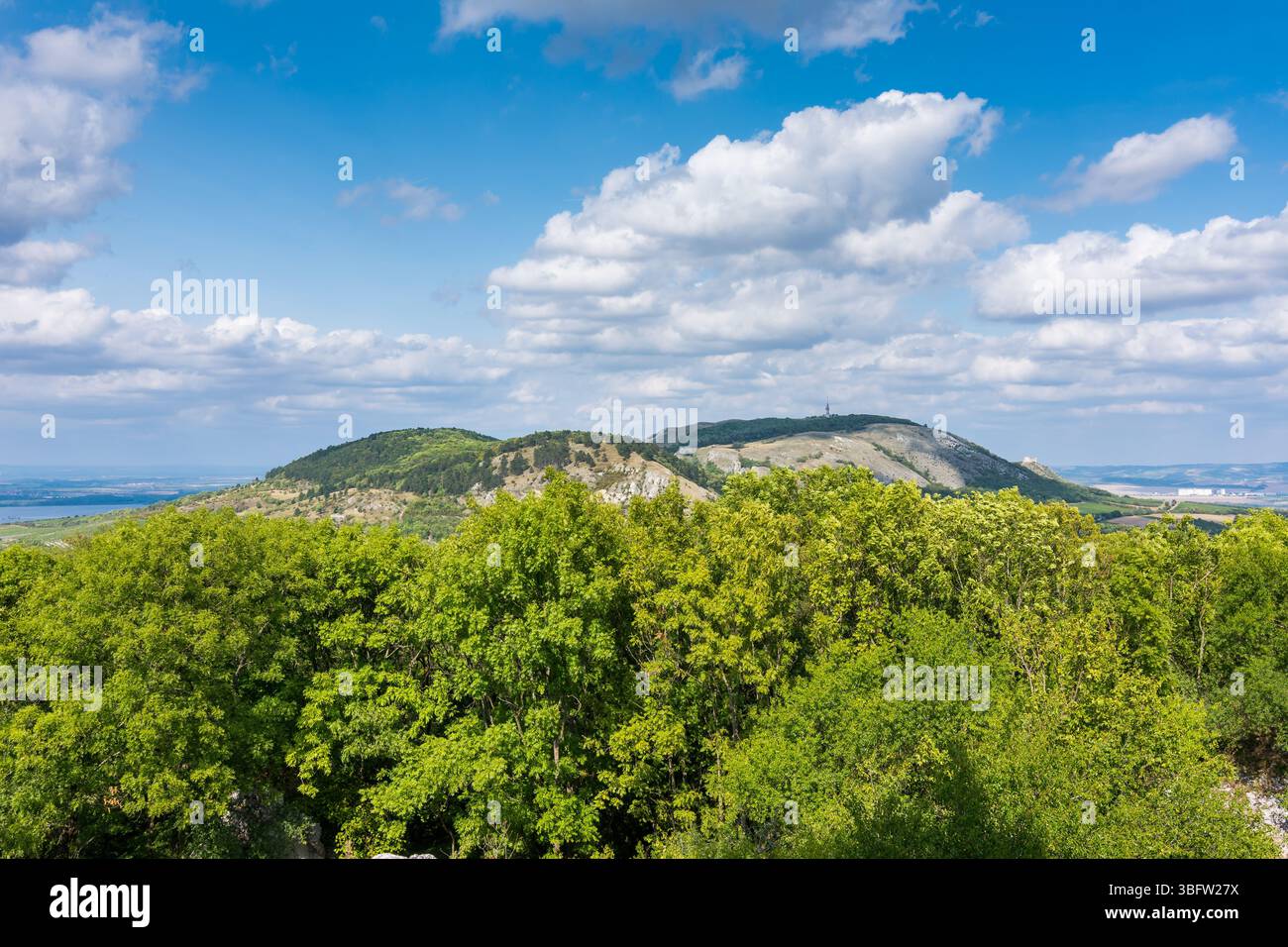 Hügel, Palava Tschechische republik, Waldhügel und blauer Himmel mit weißen Wolken Stockfoto