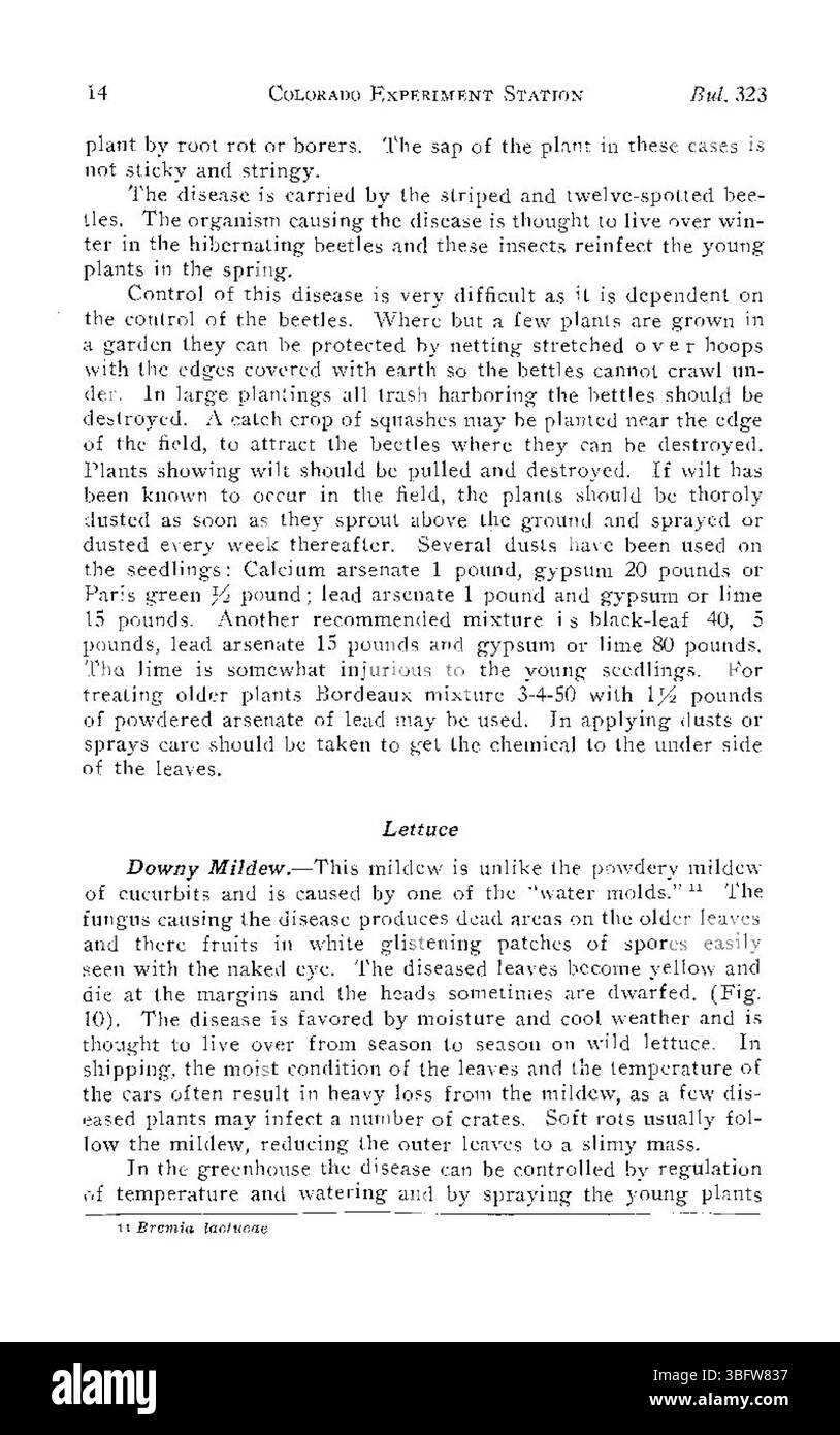 Auf Seite 14 von „Common Diseases of Colorado Truck Crops“ (1927) werden häufige Pflanzenkrankheiten wie Fäule und Rost diskutiert, die ihre Auswirkungen auf die Ernteerträge in Colorado hervorheben. Der Text enthält Ratschläge zur Prävention und zum Management zur Verbesserung der Produktivität der landwirtschaftlichen Betriebe. Stockfoto
