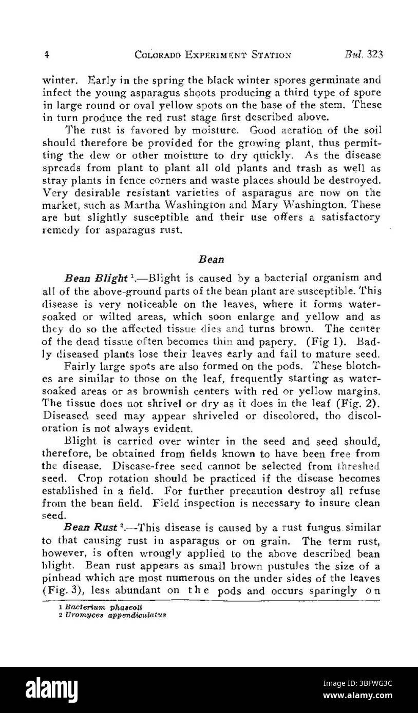 Seite 4 von „häufige Krankheiten von Lkw-Kulturen in Colorado“ (1927) gibt einen Überblick über die Auswirkungen von Krankheiten auf den Ertrag und die Qualität von Kulturen in der Region und gibt praktische Ratschläge zur Minderung dieser Auswirkungen. Stockfoto