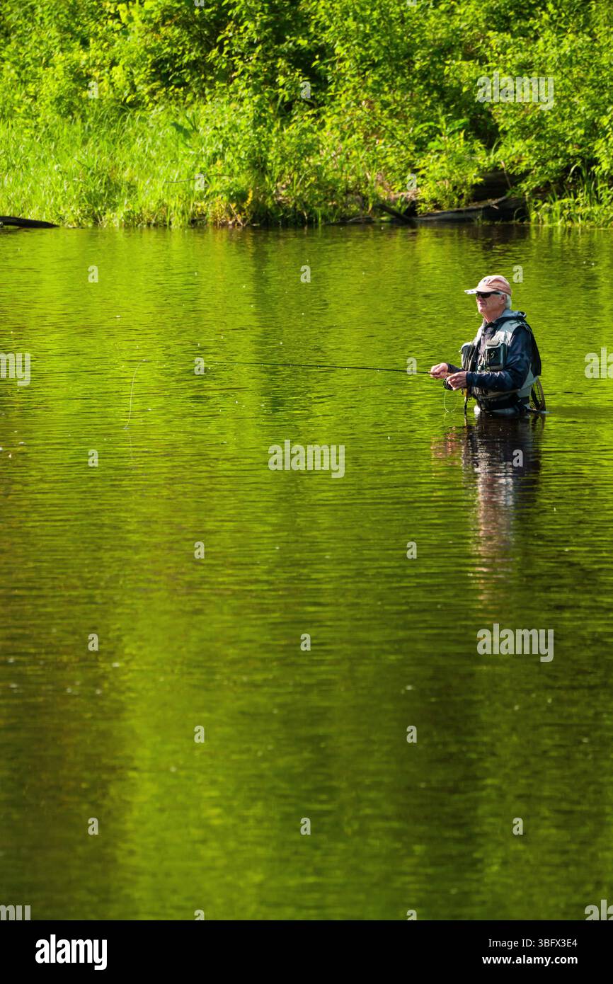 Fliegenfischen Farmington River American Legion and Peoples State Forest   Barkhamsted, Connecticut, USA Stockfoto