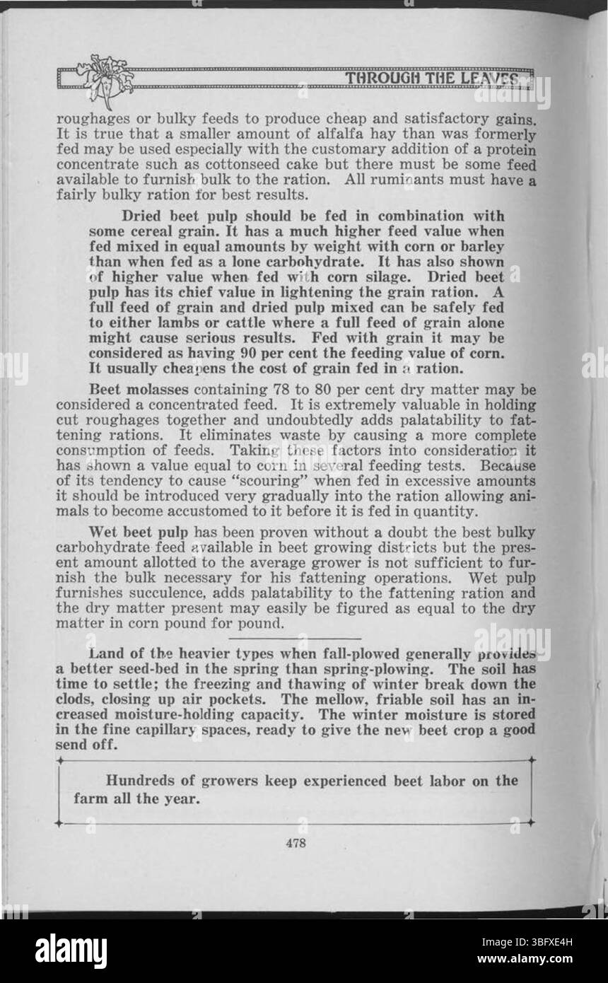 In diesem Abschnitt von „durch die Blätter“ (1927) werden Pflanzengemeinschaften und ihre Rolle bei der Aufrechterhaltung der Ökosystemstabilität untersucht. Der Subjektindex hilft Benutzern, relevante Informationen zu ökologischen Studien zu finden. Stockfoto